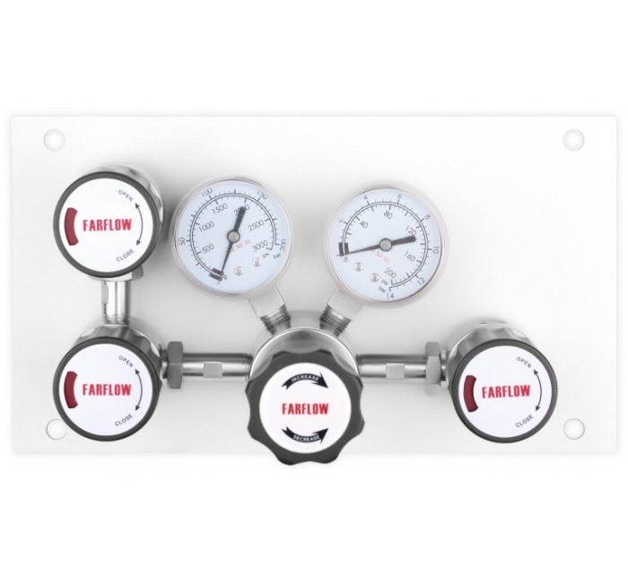 P201 Series Single-siled Specialty Gas Control Panel