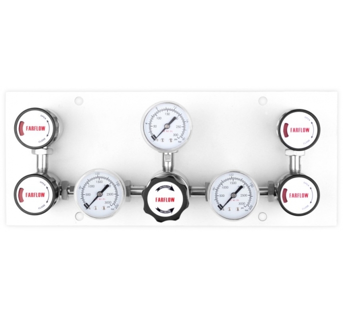 P202 Series Dual-siled Specialty Gas Control Panel